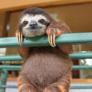 Meet your Posher, Ruby